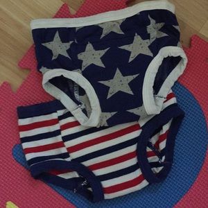 KicKee Pants Toddler Training Pants Size 2-3T